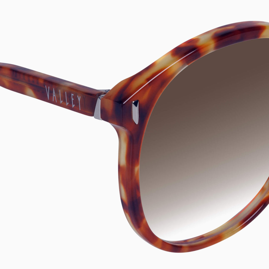 Radius - Maple Tort w. Gold Metal/Brown Gradient Lens