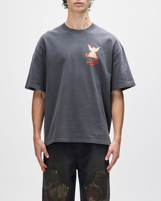 24 Hr Tee Anthracite