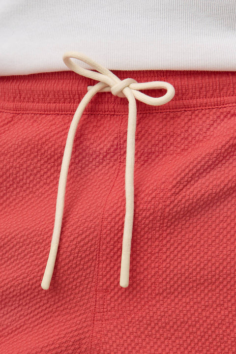 Seth Swim Short