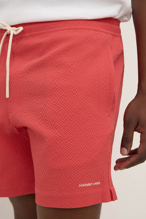 Seth Swim Short