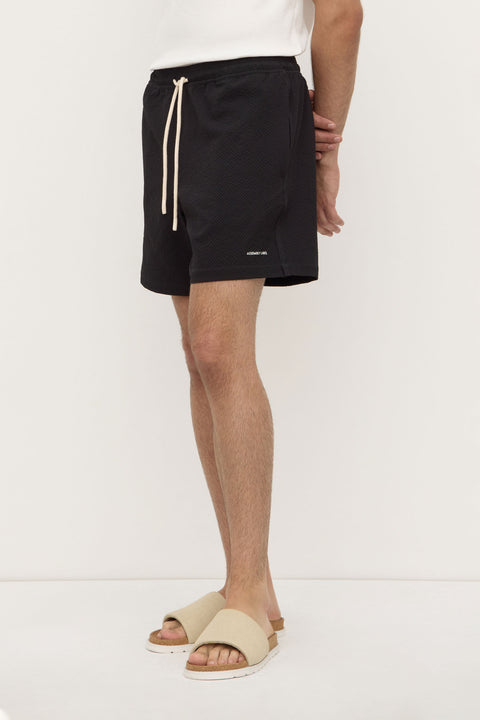 Seth Swim Short