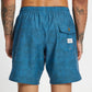 Subterranean Beach Short