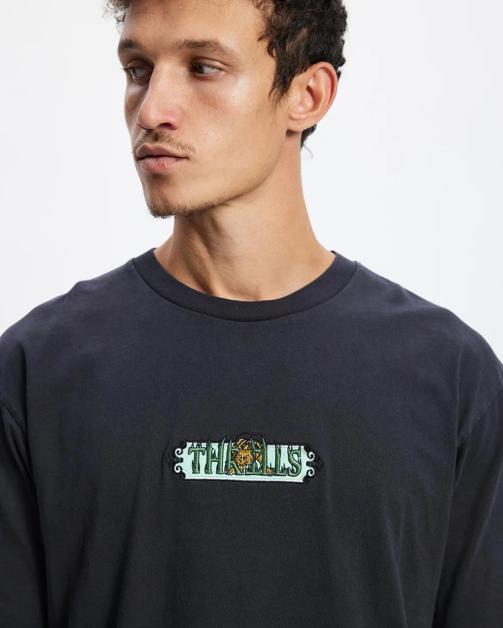 Eyes In the Grass Oversize Fit Tee